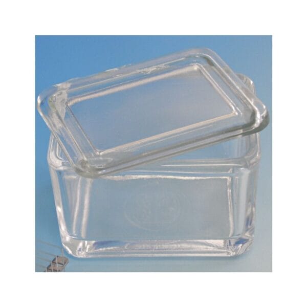 Glaskasten mit Deckel allein 9 x 7 x 6,5 cm