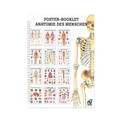 Mini-Poster Booklet: Anatomie