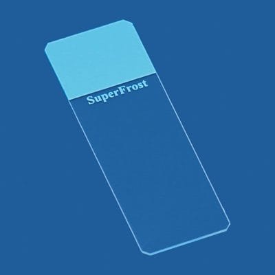 Objektträger SuperFrost blau geschliffen 45° (50 Stck.)