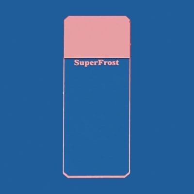 Objektträger SuperFrost rosa geschliffen 45° (50 Stck.)