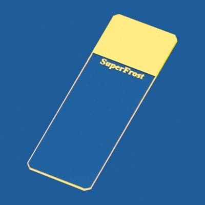 Objektträger SuperFrost gelb geschliffen 45° (50 Stck.)