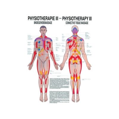 anat. Poster: Physiotherapie Bindegewebsmassage, 50 x 70 cm, Papier